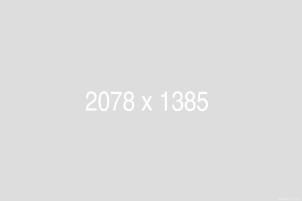 Booking sa Danom Rezervacije