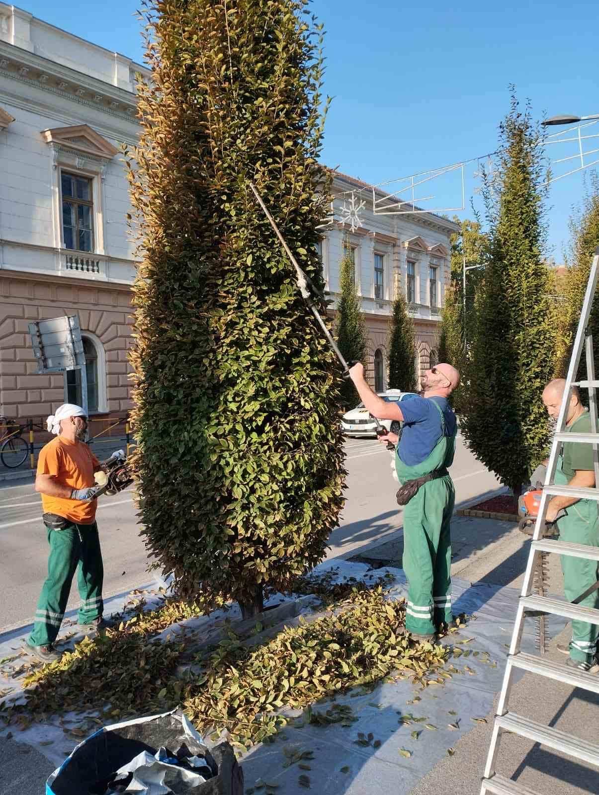 Radno vreme Čistoća i zelenilo Zrenjanin tokom vaskršnjih praznika